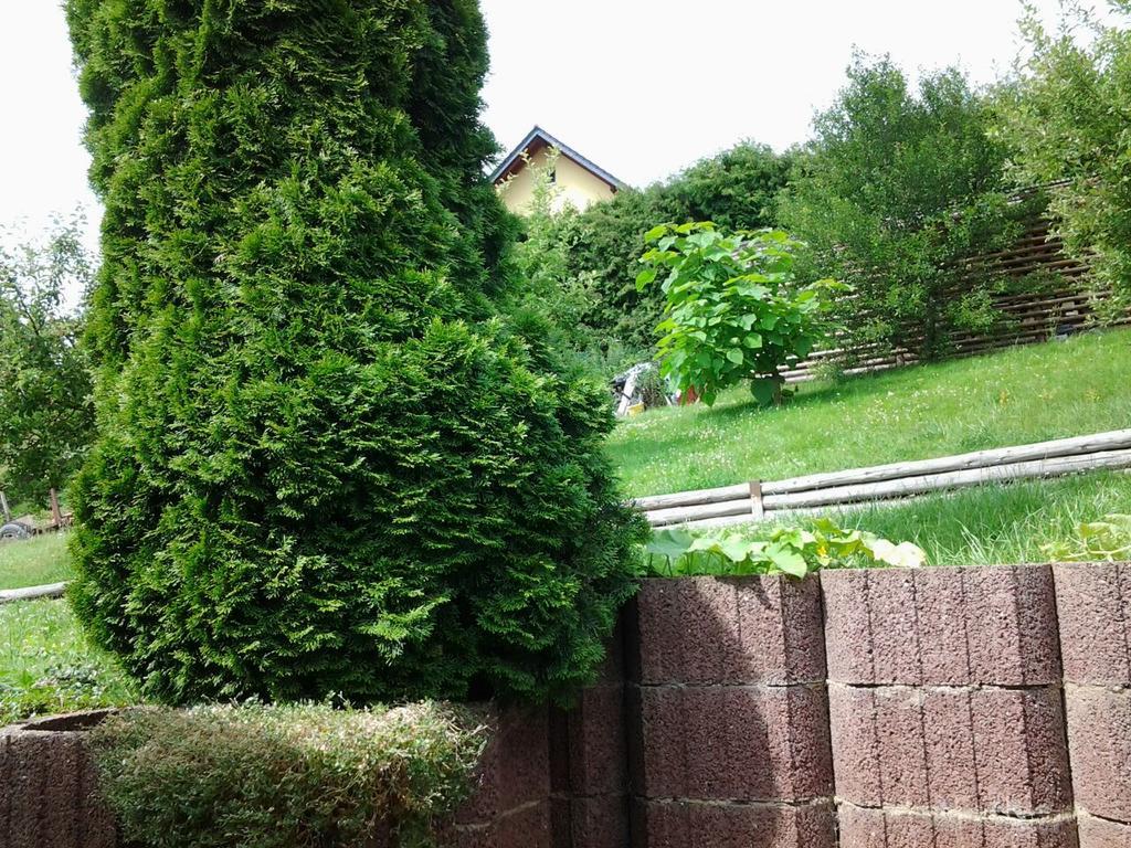 Ferienhaus Waldblick ザンガーハウゼン エクステリア 写真